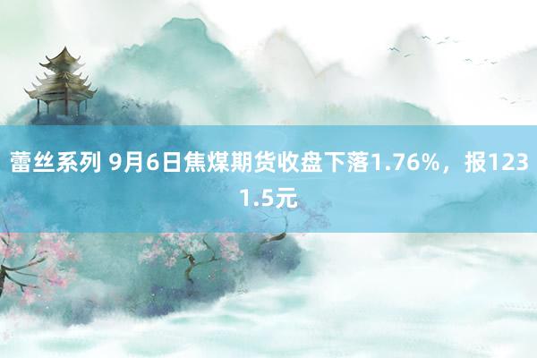 蕾丝系列 9月6日焦煤期货收盘下落1.76%，报1231.5元