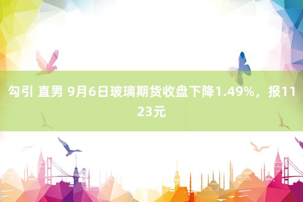 勾引 直男 9月6日玻璃期货收盘下降1.49%，报1123元