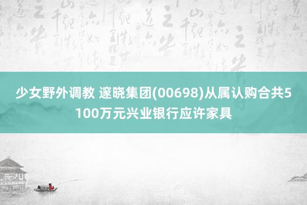 少女野外调教 邃晓集团(00698)从属认购合共5100万元兴业银行应许家具