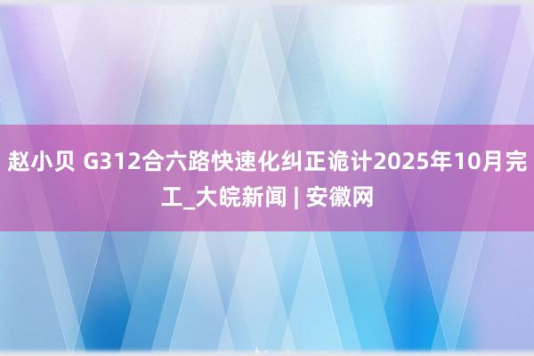 赵小贝 G312合六路快速化纠正诡计2025年10月完工_大皖新闻 | 安徽网