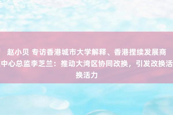 赵小贝 专访香港城市大学解释、香港捏续发展商议中心总监李芝兰：推动大湾区协同改换，引发改换活力