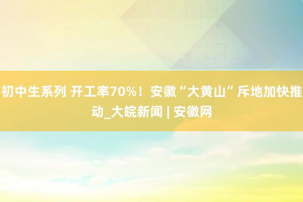 初中生系列 开工率70%！安徽“大黄山”斥地加快推动_大皖新闻 | 安徽网