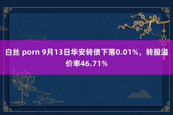 白丝 porn 9月13日华安转债下落0.01%，转股溢价率46.71%