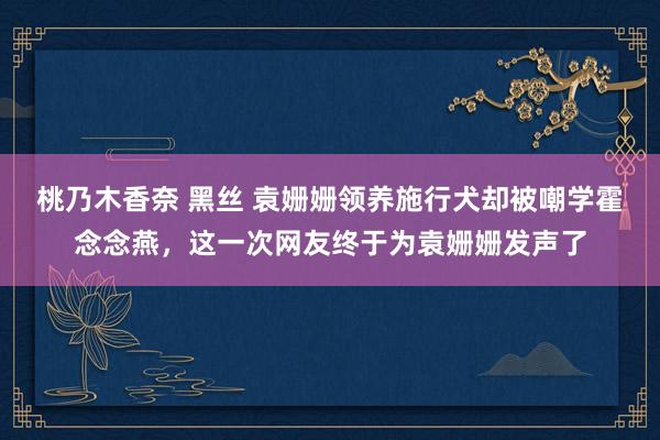 桃乃木香奈 黑丝 袁姗姗领养施行犬却被嘲学霍念念燕，这一次网友终于为袁姗姗发声了