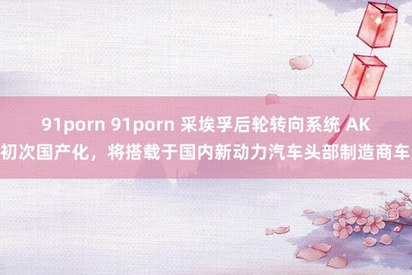 91porn 91porn 采埃孚后轮转向系统 AKC 初次国产化，将搭载于国内新动力汽车头部制造商车型