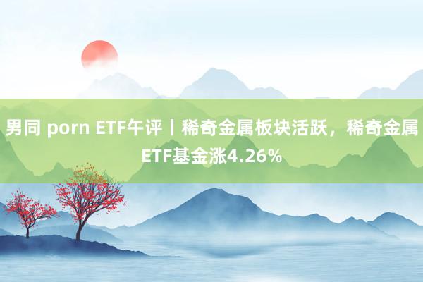 男同 porn ETF午评丨稀奇金属板块活跃，稀奇金属ETF基金涨4.26%