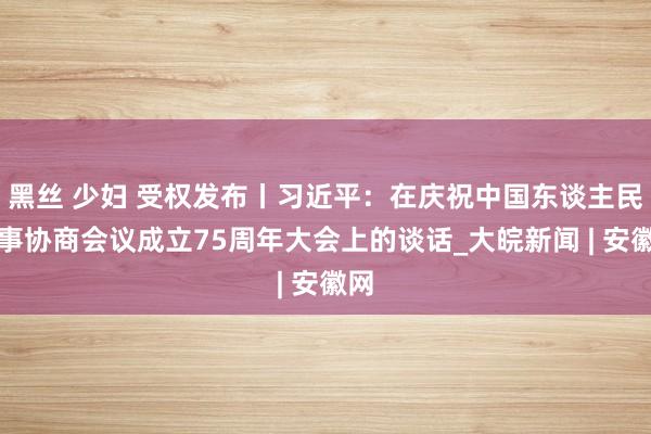 黑丝 少妇 受权发布丨习近平：在庆祝中国东谈主民政事协商会议成立75周年大会上的谈话_大皖新闻 | 安徽网