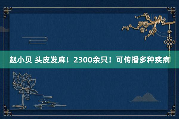 赵小贝 头皮发麻！2300余只！可传播多种疾病