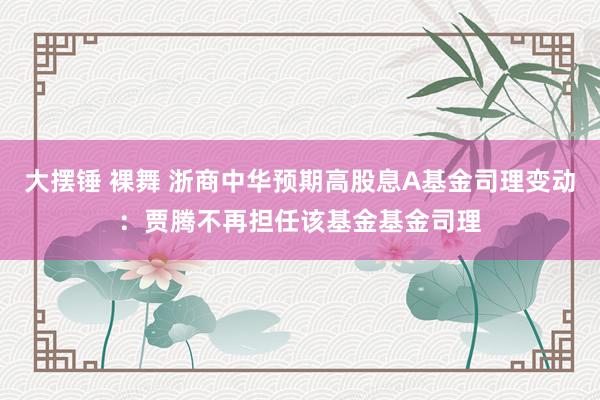 大摆锤 裸舞 浙商中华预期高股息A基金司理变动：贾腾不再担任该基金基金司理