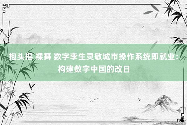 抱头摇 裸舞 数字孪生灵敏城市操作系统即就业：构建数字中国的改日