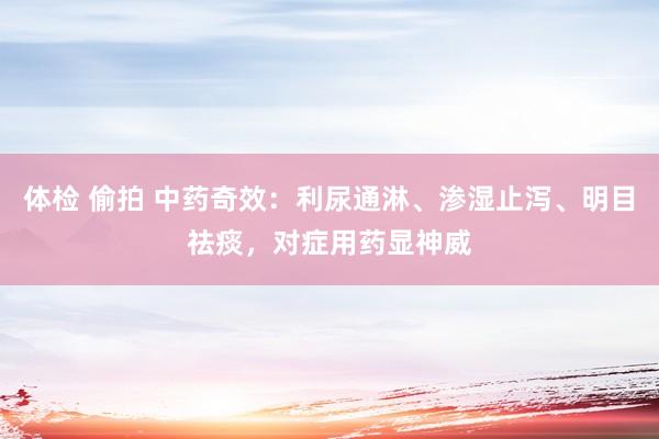 体检 偷拍 中药奇效：利尿通淋、渗湿止泻、明目祛痰，对症用药显神威