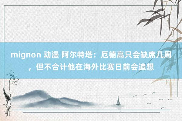 mignon 动漫 阿尔特塔：厄德高只会缺席几周，但不合计他在海外比赛日前会追想