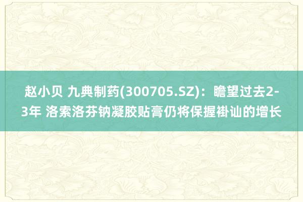 赵小贝 九典制药(300705.SZ)：瞻望过去2-3年 洛索洛芬钠凝胶贴膏仍将保握褂讪的增长