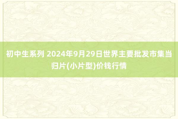 初中生系列 2024年9月29日世界主要批发市集当归片(小片型)价钱行情