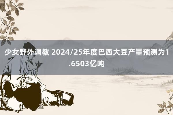 少女野外调教 2024/25年度巴西大豆产量预测为1.6503亿吨