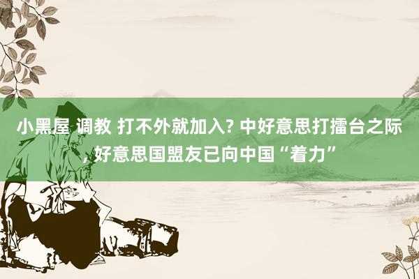 小黑屋 调教 打不外就加入? 中好意思打擂台之际， 好意思国盟友已向中国“着力”