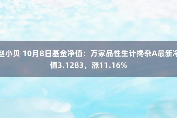 赵小贝 10月8日基金净值：万家品性生计搀杂A最新净值3.1283，涨11.16%