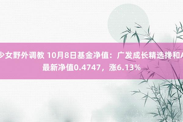 少女野外调教 10月8日基金净值：广发成长精选搀和A最新净值0.4747，涨6.13%