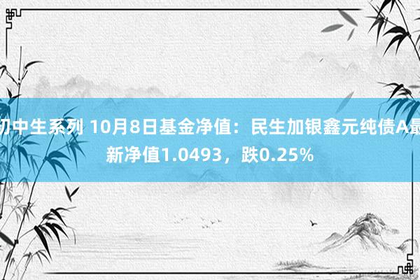 初中生系列 10月8日基金净值：民生加银鑫元纯债A最新净值1.0493，跌0.25%