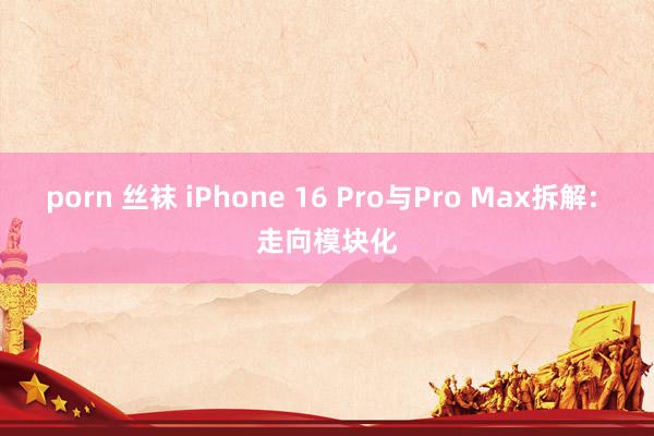 porn 丝袜 iPhone 16 Pro与Pro Max拆解: 走向模块化