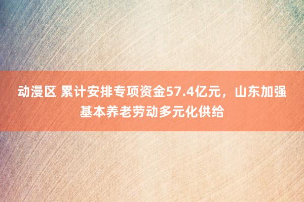 动漫区 累计安排专项资金57.4亿元，山东加强基本养老劳动多元化供给