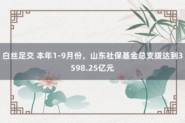 白丝足交 本年1-9月份，山东社保基金总支拨达到3598.25亿元