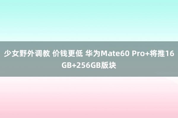 少女野外调教 价钱更低 华为Mate60 Pro+将推16GB+256GB版块