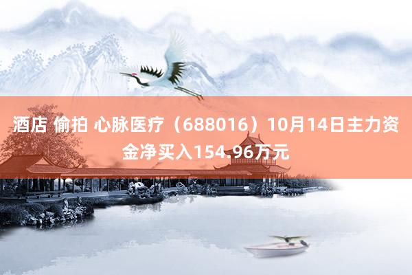 酒店 偷拍 心脉医疗（688016）10月14日主力资金净买入154.96万元