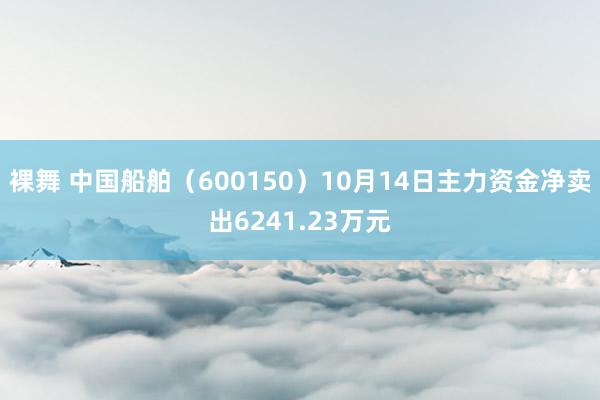 裸舞 中国船舶（600150）10月14日主力资金净卖出6241.23万元