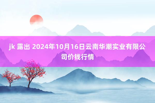 jk 露出 2024年10月16日云南华潮实业有限公司价钱行情