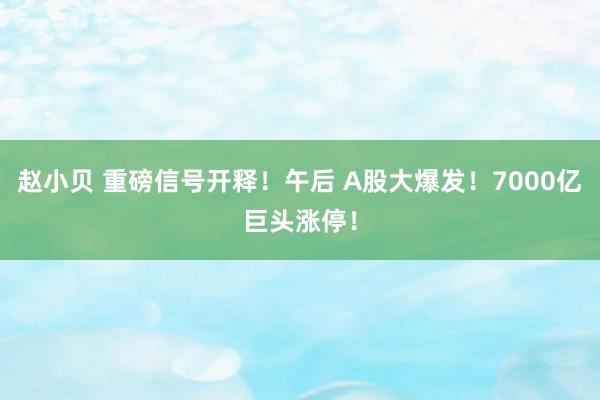 赵小贝 重磅信号开释！午后 A股大爆发！7000亿巨头涨停！