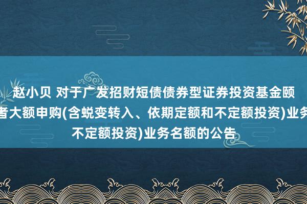 赵小贝 对于广发招财短债债券型证券投资基金颐养机构投资者大额申购(含蜕变转入、依期定额和不定额投资)业务名额的公告