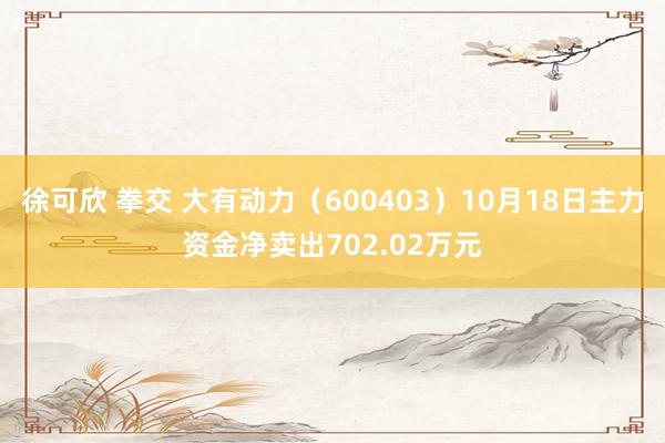 徐可欣 拳交 大有动力（600403）10月18日主力资金净卖出702.02万元