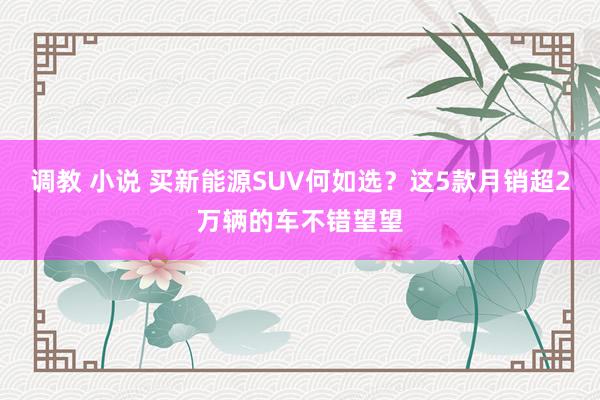 调教 小说 买新能源SUV何如选？这5款月销超2万辆的车不错望望