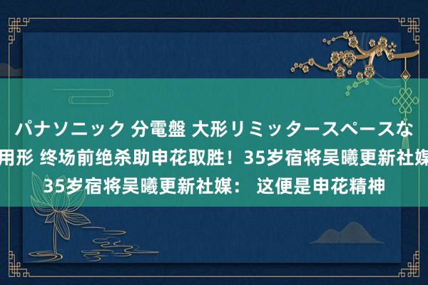 パナソニック 分電盤 大形リミッタースペースなし 露出・半埋込両用形 终场前绝杀助申花取胜！35岁宿将吴曦更新社媒： 这便是申花精神