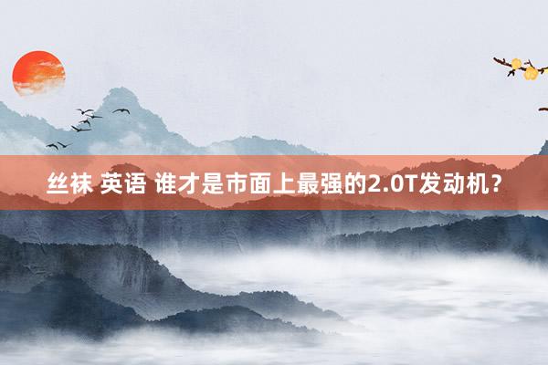 丝袜 英语 谁才是市面上最强的2.0T发动机？