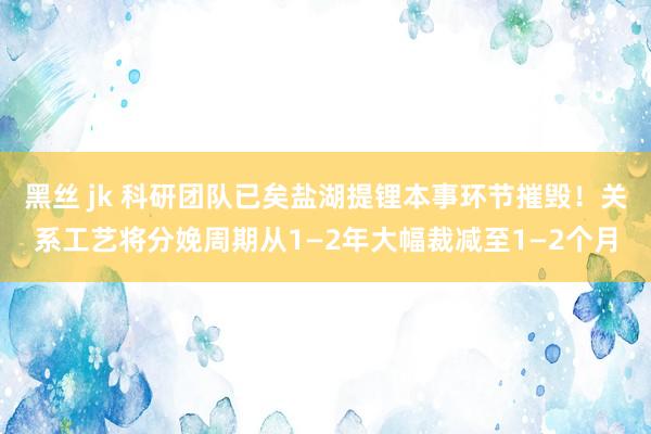 黑丝 jk 科研团队已矣盐湖提锂本事环节摧毁！关系工艺将分娩周期从1—2年大幅裁减至1—2个月