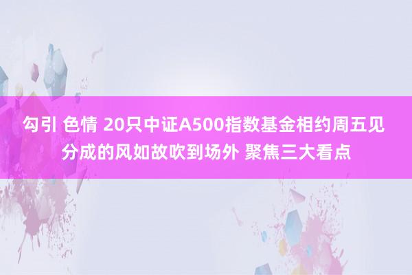 勾引 色情 20只中证A500指数基金相约周五见 分成的风如故吹到场外 聚焦三大看点