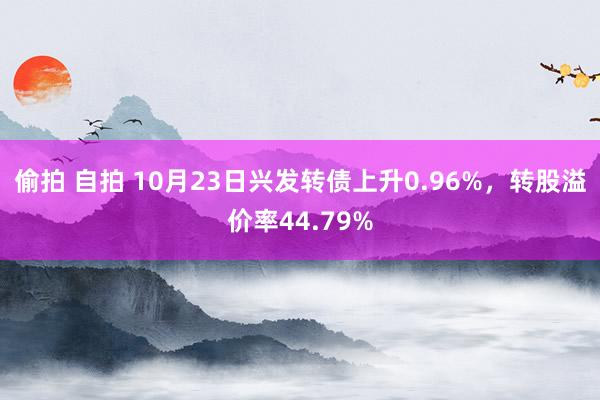 偷拍 自拍 10月23日兴发转债上升0.96%，转股溢价率44.79%