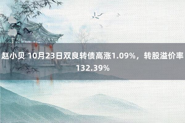 赵小贝 10月23日双良转债高涨1.09%，转股溢价率132.39%