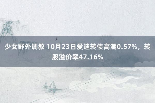 少女野外调教 10月23日爱迪转债高潮0.57%，转股溢价率47.16%