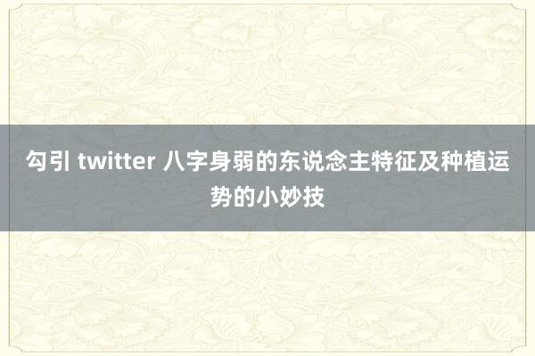 勾引 twitter 八字身弱的东说念主特征及种植运势的小妙技