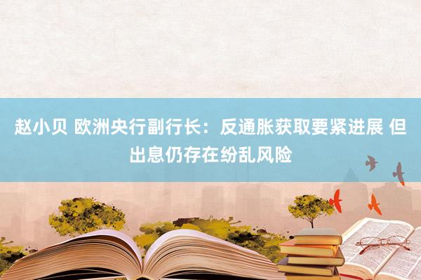 赵小贝 欧洲央行副行长：反通胀获取要紧进展 但出息仍存在纷乱风险