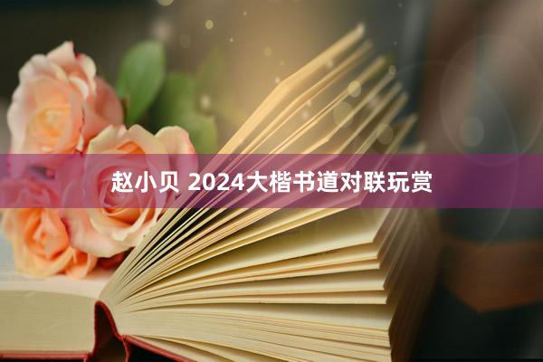 赵小贝 2024大楷书道对联玩赏