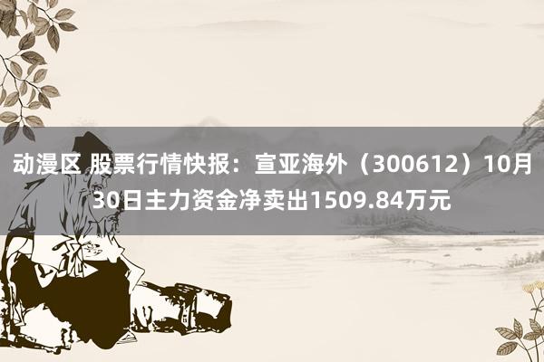 动漫区 股票行情快报：宣亚海外（300612）10月30日主力资金净卖出1509.84万元