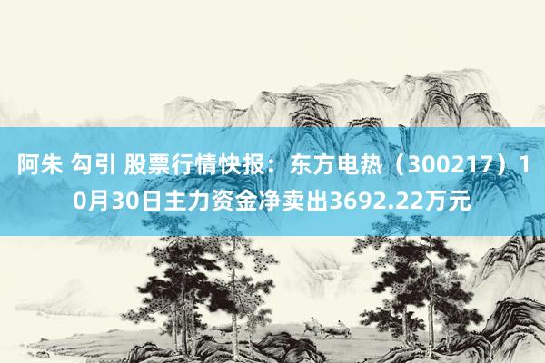 阿朱 勾引 股票行情快报：东方电热（300217）10月30日主力资金净卖出3692.22万元