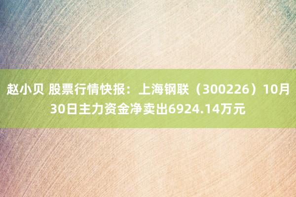 赵小贝 股票行情快报：上海钢联（300226）10月30日主力资金净卖出6924.14万元