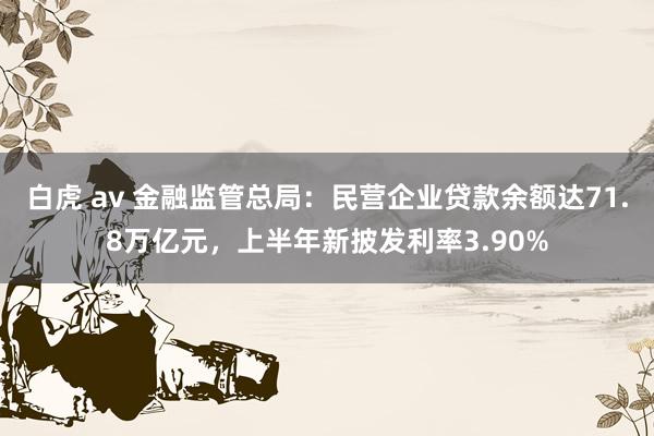 白虎 av 金融监管总局：民营企业贷款余额达71.8万亿元，上半年新披发利率3.90%