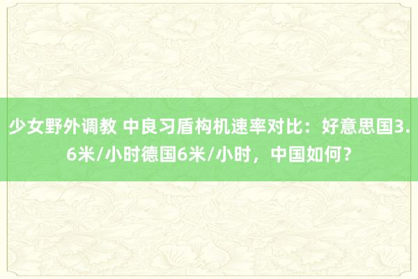 少女野外调教 中良习盾构机速率对比：好意思国3.6米/小时德国6米/小时，中国如何？