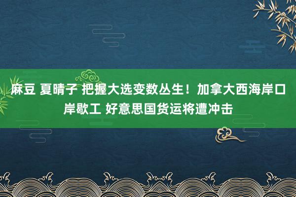 麻豆 夏晴子 把握大选变数丛生！加拿大西海岸口岸歇工 好意思国货运将遭冲击